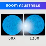 D_NQ_NP_2X_645115-MLA101078931643_122025-F