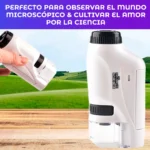 D_NQ_NP_2X_645115-MLA101078931643_122025-F